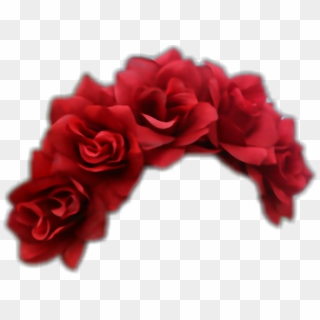 #roses #flowercrown #red - Garden Roses Clipart