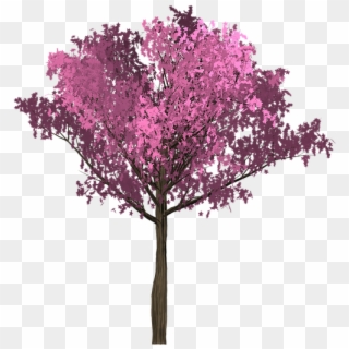Cherry Pink Tree Painted Tree Purple - Arbol Rosado Png Clipart