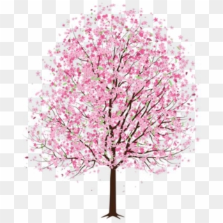 #tree #flower #flowers #pink #pinktree #pinkflower - Japanese Cherry Blossom Tree Drawing Clipart