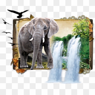 #elephant #jungle #book #dk925 #dk925designs - Indian Elephant Clipart