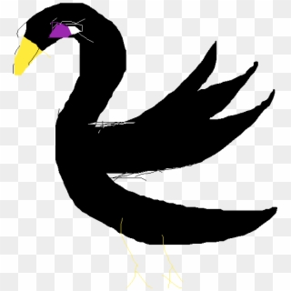 Black Swan - Duck Clipart