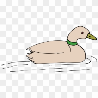 Painted Grey Duck - Duck In Water Clip Art - Png Download