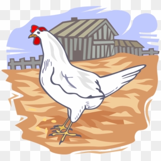 More In Same Style Group - Poultry Farm Clip Art - Png Download