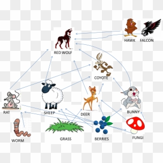 - Red Wolf Food Chain , Png Download - Food Chain For Red Wolf Clipart