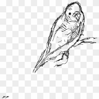 Budgie - Screech Owl Clipart