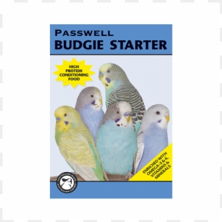Passwell Budgie Starter - Budgie Clipart