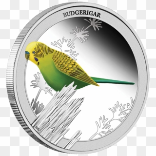 Australia 2013 50 Cents Budgerigar Birds Of Australia - Silver Clipart