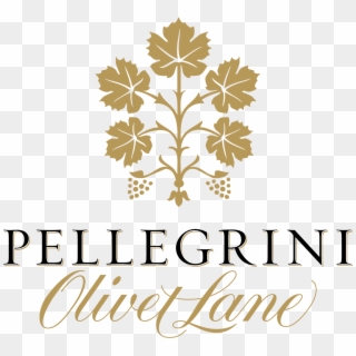 Pol Wordmark 1500 Pixels & Transparency - Pellegrini Wines Clipart