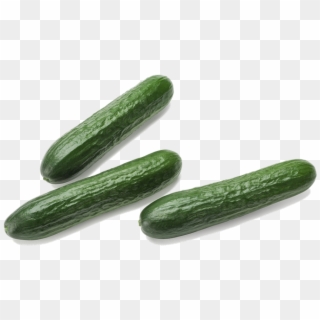 Mini Cucumbers - Cucumber Clipart