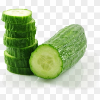 Cucumbers - Cucumber Clipart