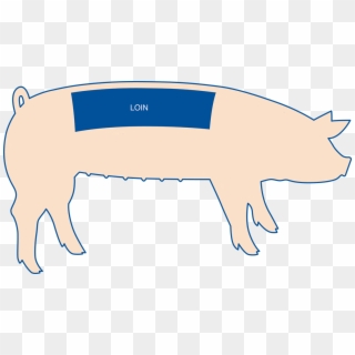 Pork Chops Are The Most Popular Cut From The Pork Loin, - Part Of The Pig Is Pork Loin Clipart