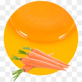 Our Carrot Puree Concentrate Is High In Beta-carotene, - Transparent Background Carrots Transparent Clipart