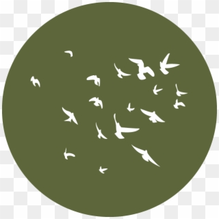 Knox Wild Bird Icon - Circle Clipart