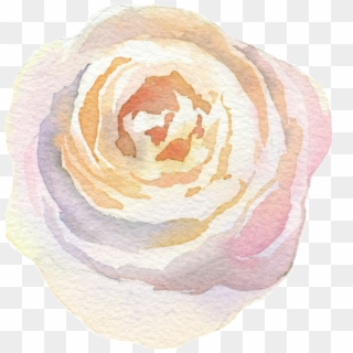 Capas De Flores Png Transparente - Garden Roses Clipart