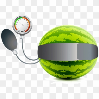 One Out Of Every Three American Adults Has Hypertension, - Watermelon Vector Clipart