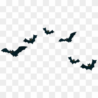 Halloween Witch Bat Png Clipart
