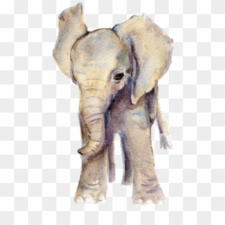 Elephant Png Tumblr - Watercolour Baby Elephant Clipart