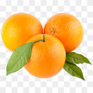 Orange Png Picture - Orange Png Clipart