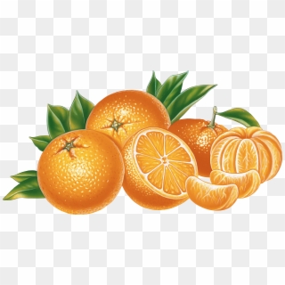 Orange And Mandarin - Png Free Clipart