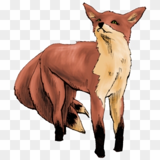 Additional Images - Red Fox Clipart