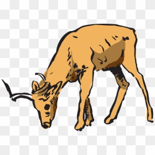 Cartoon Deer Eating Grass Clipart