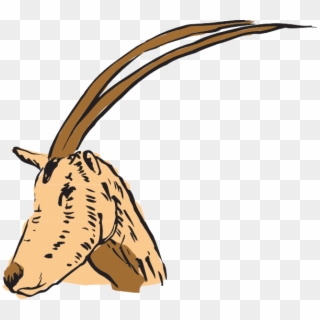 Long Horned Antelope Svg Clip Arts 600 X 535 Px - Antelope - Png Download