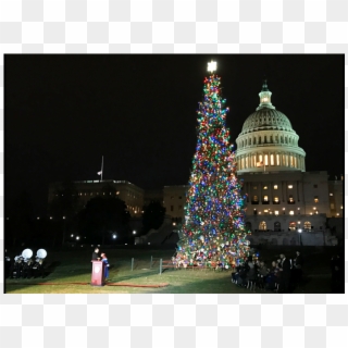 Duncanputman - Com Blog - U - S - Capitol Christmas - Capitol Christmas Tree 2018 Clipart