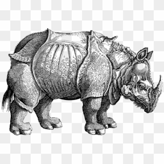 Rhino Rhinoceros Vintage Line Art Animal Africa - Rhinoceros No 76 From Historia Animalium By Conrad Clipart