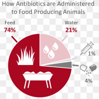 Appropriateness Of Antibiotic Use In Food Producing - Antibiotics In Animal Feed Clipart