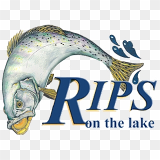 Rips On The Lake - Marine Mammal Clipart