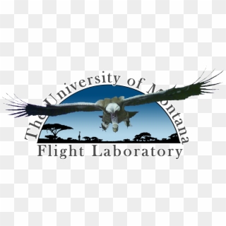 University Of Montana Flight Laboratory - Poster Clipart