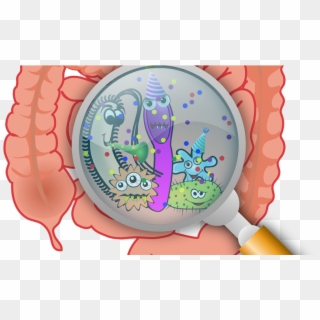 Understanding Hs - Bacterias En Tracto Gastrointestinal Clipart