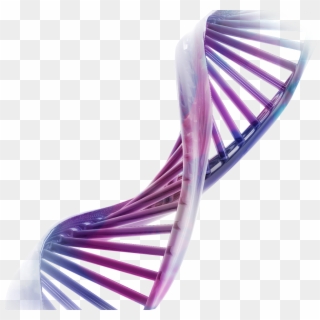 Cadena Adn Png - Purple Dna For Background Clipart