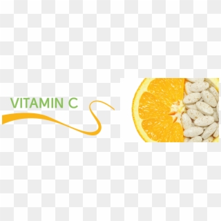 Vitamin C Is A Water Soluble Vitamin Which Can't Be - Vitamin C Transparent Clipart
