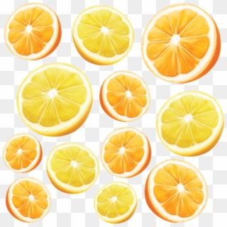 Vector Orange Realistic - Orange Clipart
