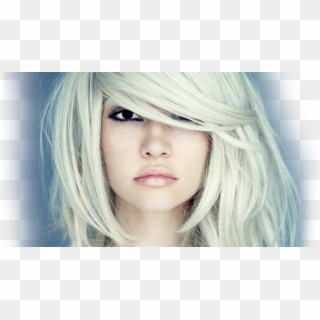 Education-img - Platinum Blonde Dyed Hair Clipart
