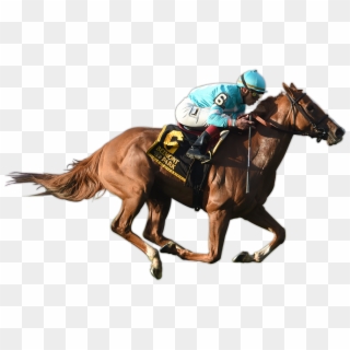 Uni Wins The G2 Sands Point Stakes - Race Horse White Background Clipart