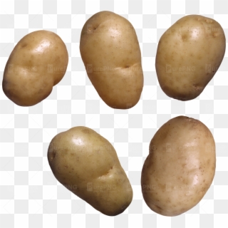 Potato Clipart Brown Potato - Clear Background Potato Transparent - Png Download