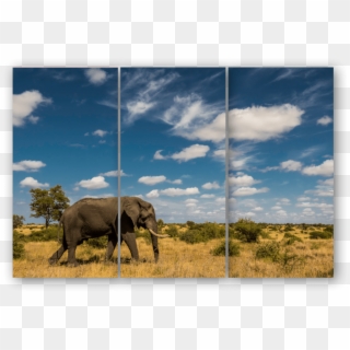 Triptych Elephant Sky - Indian Elephant Clipart