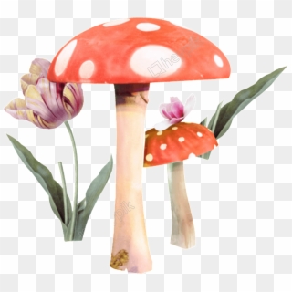 Vector Mushroom Vintage - Flower Clipart