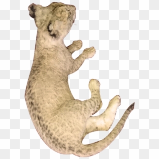 Baby Lion Full Mount Lying Down Bl - Puma Clipart