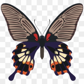 Papilio Memnon Butterfly - Symmetry And Asymmetry In Biology Clipart