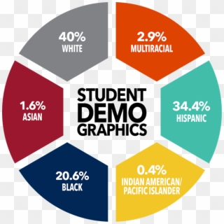 Percentile Graphic Showing Student Demographics - Circle Clipart