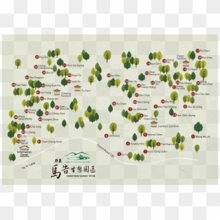Shenmu Parkabout - Cilan Divine Tree Garden Clipart