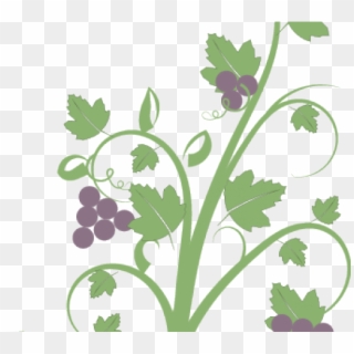 Wall Drawing Vine Grape Clipart