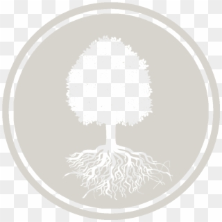 Environmental Protection - - Tree Roots Clip Art Free Black White - Png Download