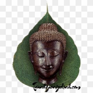 Gautama Buddha Clipart
