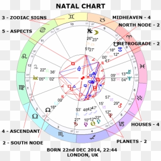 Chart zodiac pie Astrology terms,