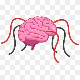 The Human Brain Is A Hive Of Electrical Activity With - Brain Diagram Clipart