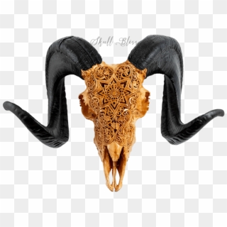 Carved Ram Skull - Horn Clipart